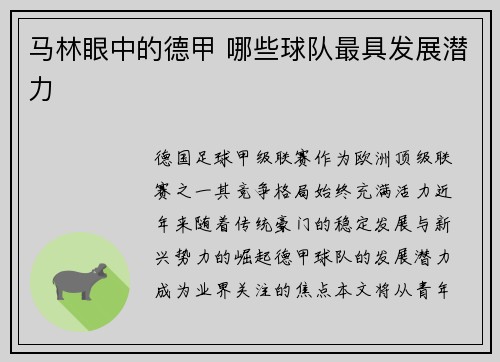 马林眼中的德甲 哪些球队最具发展潜力